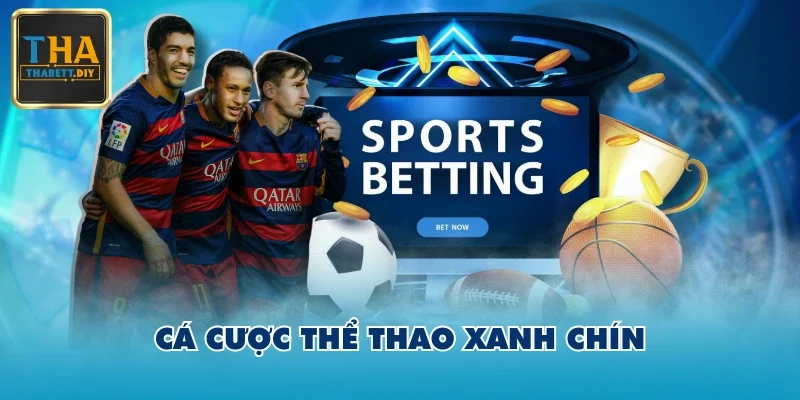 Cá cược Thể Thao xanh chín Cá cược Thể Thao xanh chín