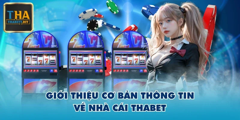 Giới thiệu cơ bản thông tin về nhà cái THABET